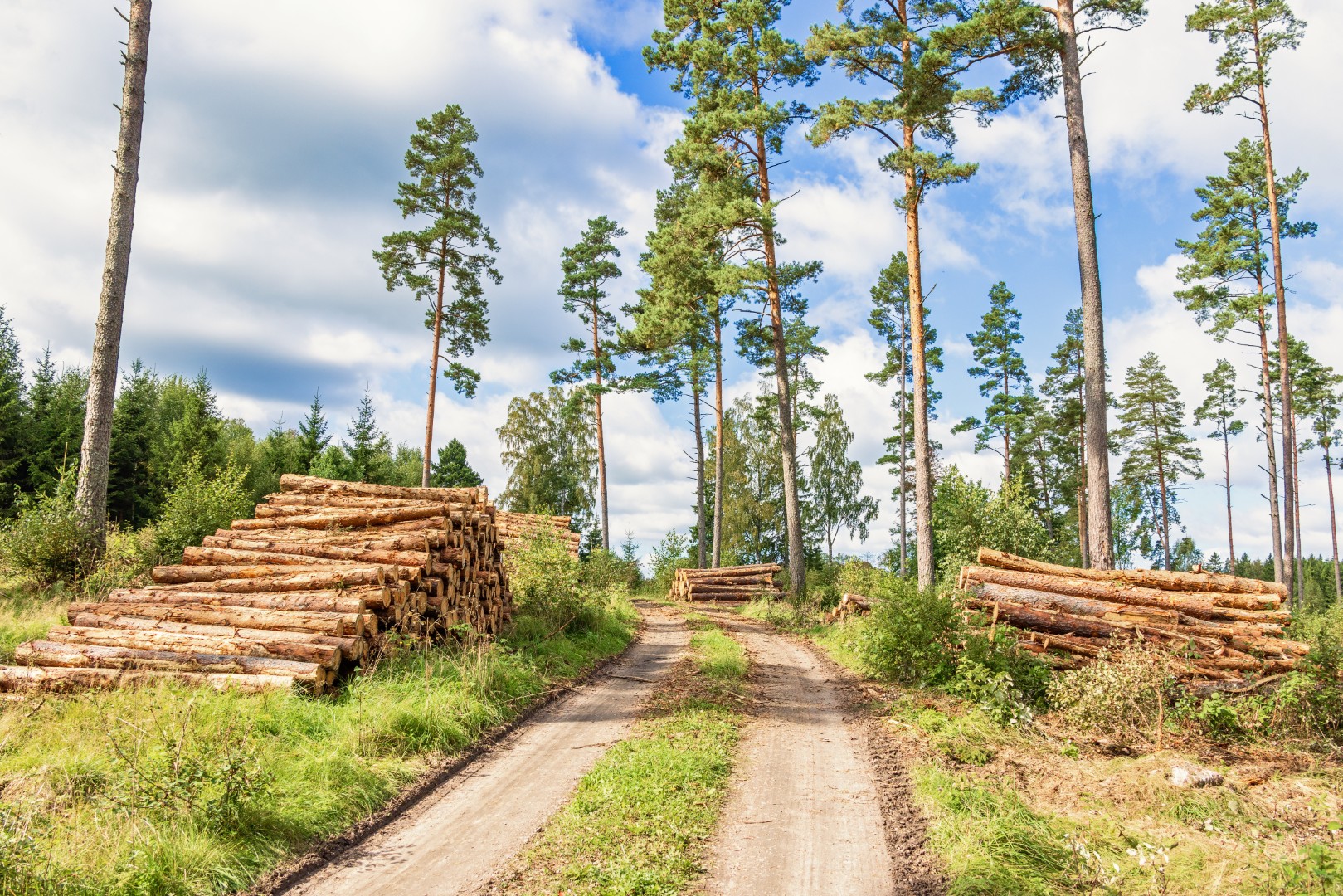 Krönt vägval – The chargeable transport distance used for price calculations in the forest industry